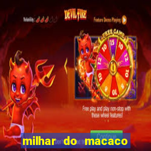 milhar do macaco que mais saem no jogo do bicho