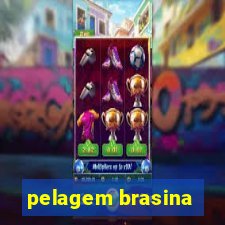 pelagem brasina