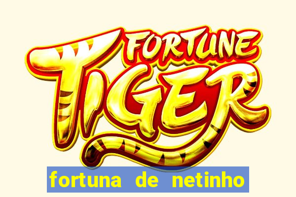 fortuna de netinho de paula