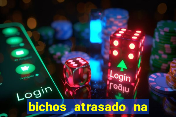 bichos atrasado na loteria dos sonhos