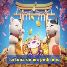 fortuna de mc pedrinho