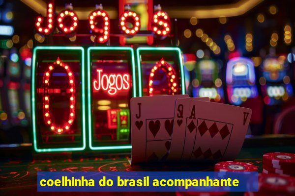 coelhinha do brasil acompanhante