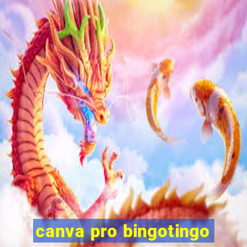 canva pro bingotingo