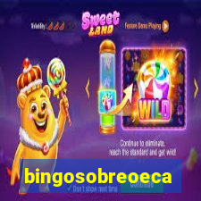 bingosobreoeca